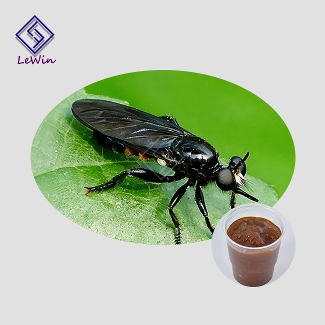 BSF Larvae Oil Production Line